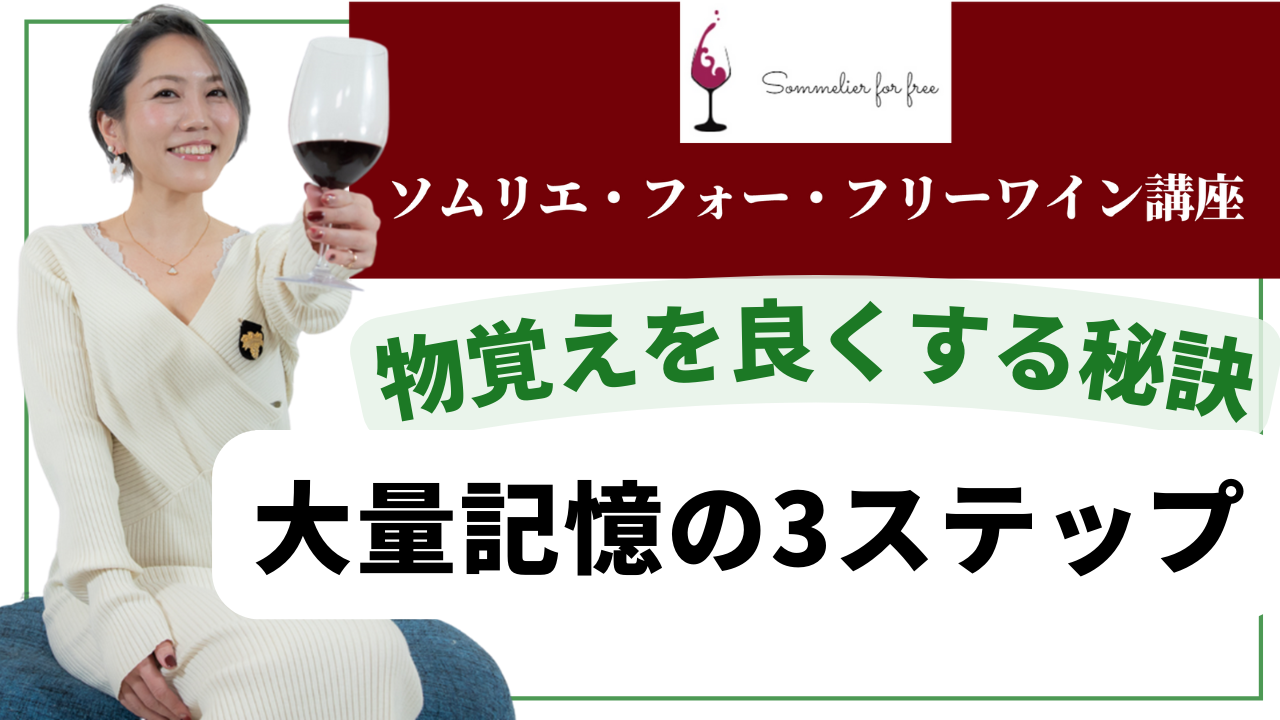 大量記憶の3ステップ【2023年 Sommelier for free ワイン講座 序章3話 】